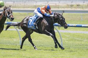 APPRENTICE REPAYS THE FAITH